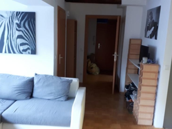 WhatsApp_Image_2018_08_29_at_08.28.48_1_