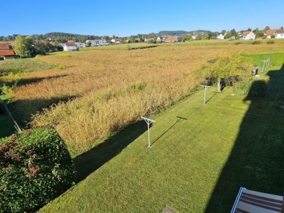 Grünblick von der Loggia