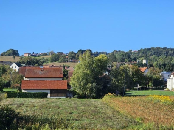 Grünblick von der Loggia