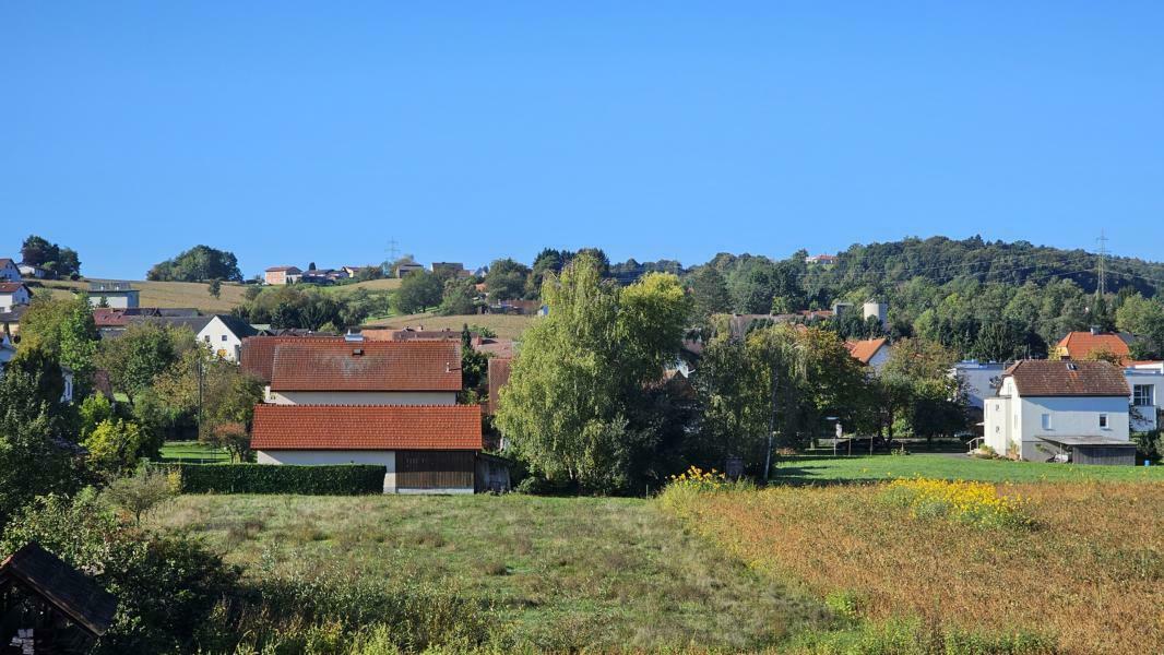 Grünblick von der Loggia