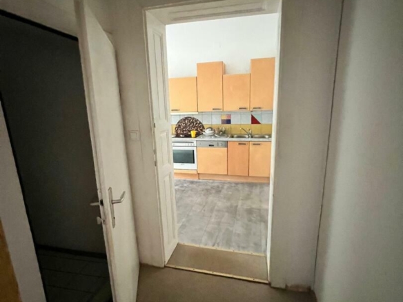 WhatsApp Image 2024-03-05 at 13.19.29