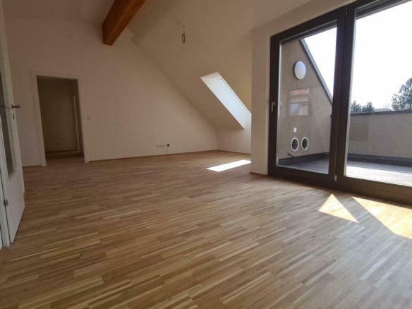 Offener Wohn-Essbereich