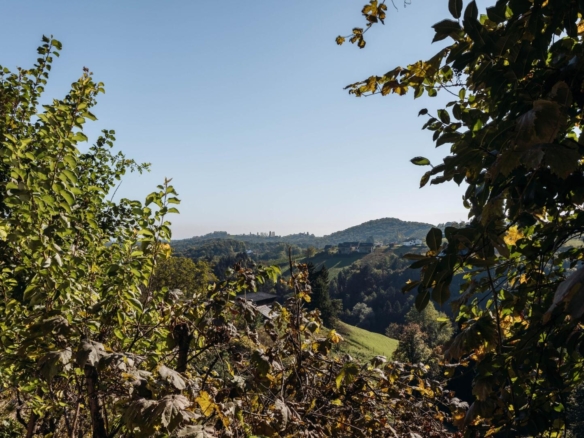 Passegger Haus Kranach 10 2025-42_resized