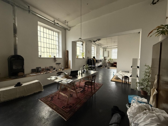 20250121_115559712_iOS