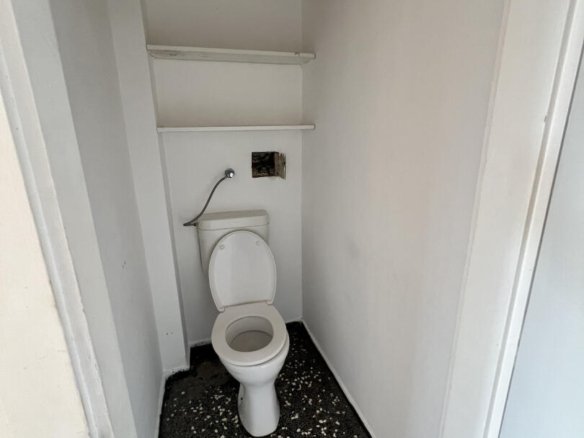 20240712_060843294_iOS