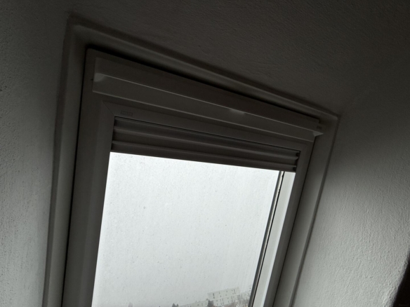 20250213_082900921_iOS