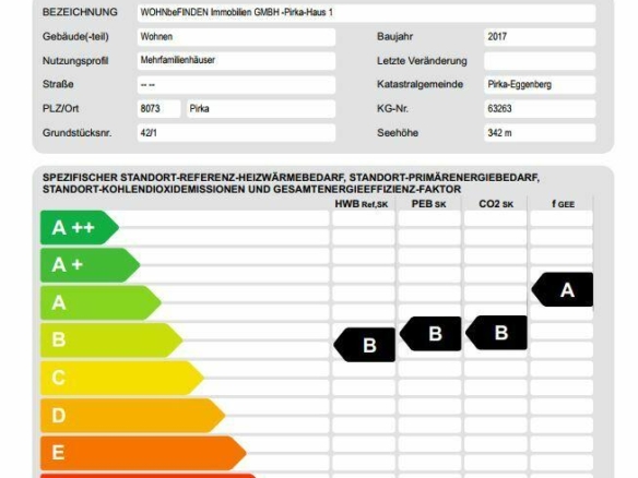 Energieausweis_1