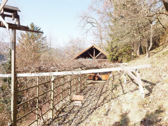 Ansicht mit Weinlaubengang