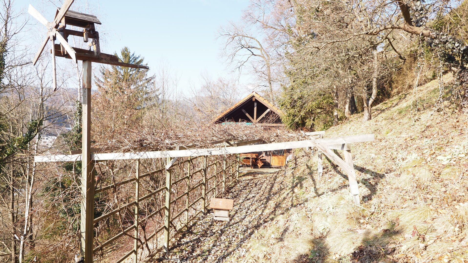 Ansicht mit Weinlaubengang Ansicht mit Weinlaubengang