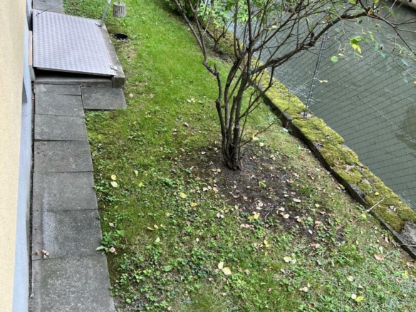 F49C43E2-A8CF-463C-A5FF-C359D1BB3637