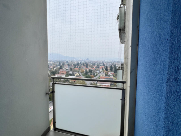 20241023_093251501_iOS