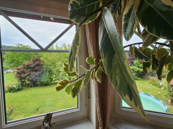 Blick von der Küche