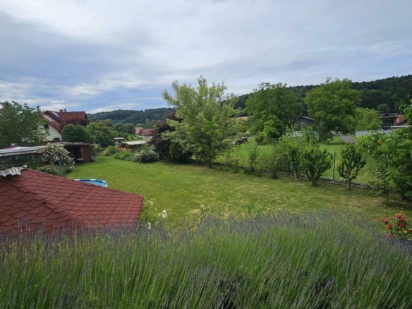 Teilansicht Lavendelgarten mit Weitblick