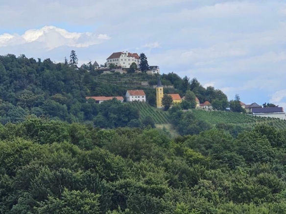 Blick zum Schloss Kapfenstein