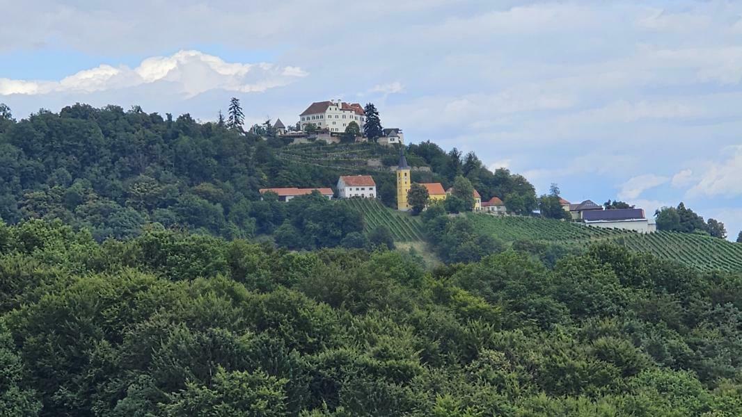 Blick zum Schloss Kapfenstein