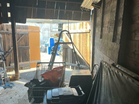 WhatsApp Image 2025-11-03 at 14.28.53 (2)