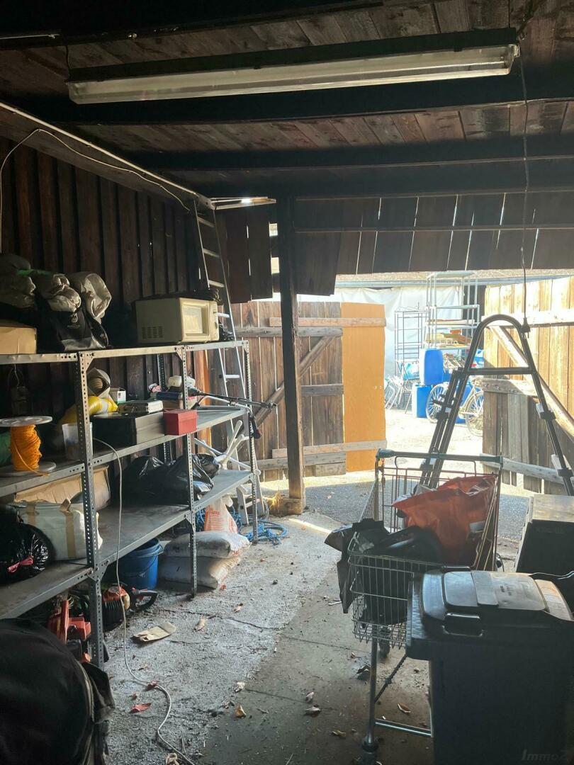 WhatsApp Image 2025-11-03 at 14.28.53 (3)