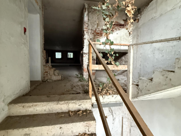 20251114_095947003_iOS