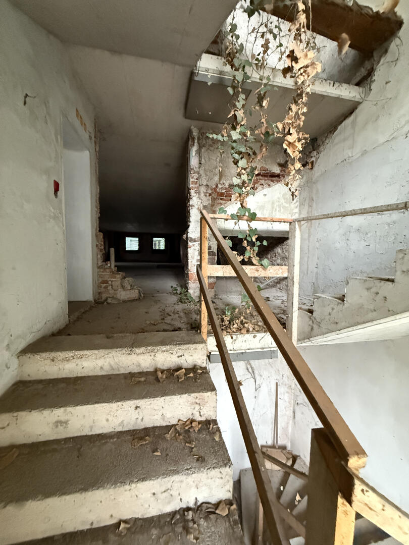 20251114_095947003_iOS