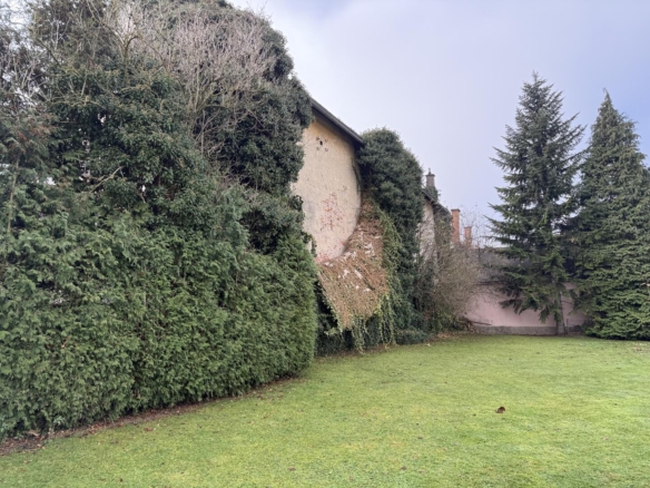 20251114_101419240_iOS