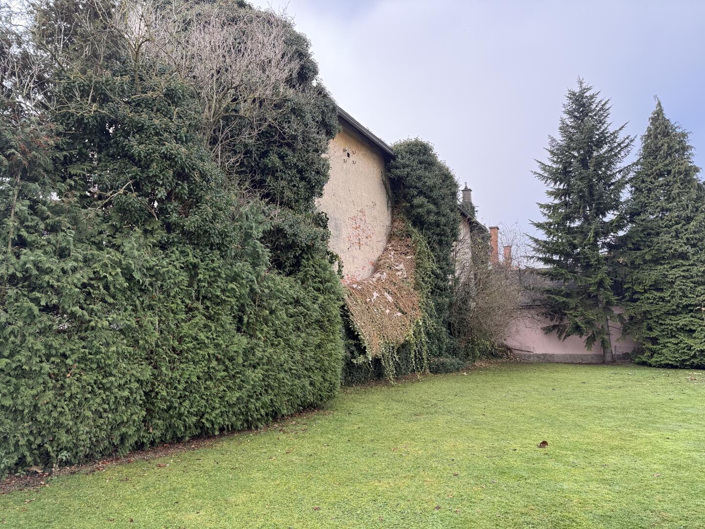 20251114_101419240_iOS