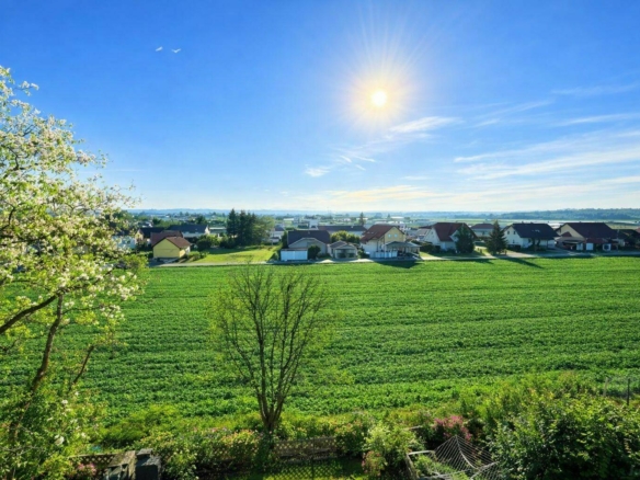 Blick 2 Balkon Frühling_Sommer