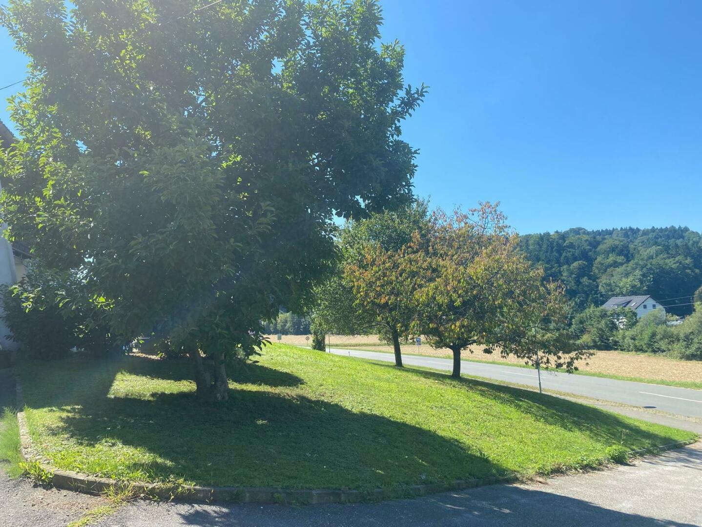 WhatsApp Image 2026-01-30 at 10.16.49 (10)