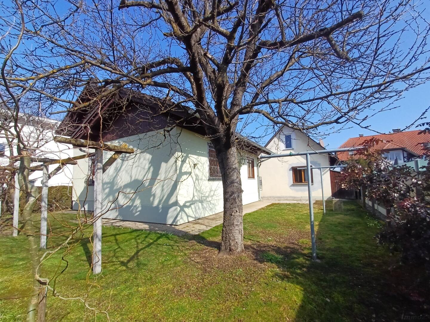 20260306_115736_resized(1)