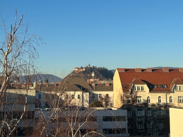 Hofseitiger Ausblick