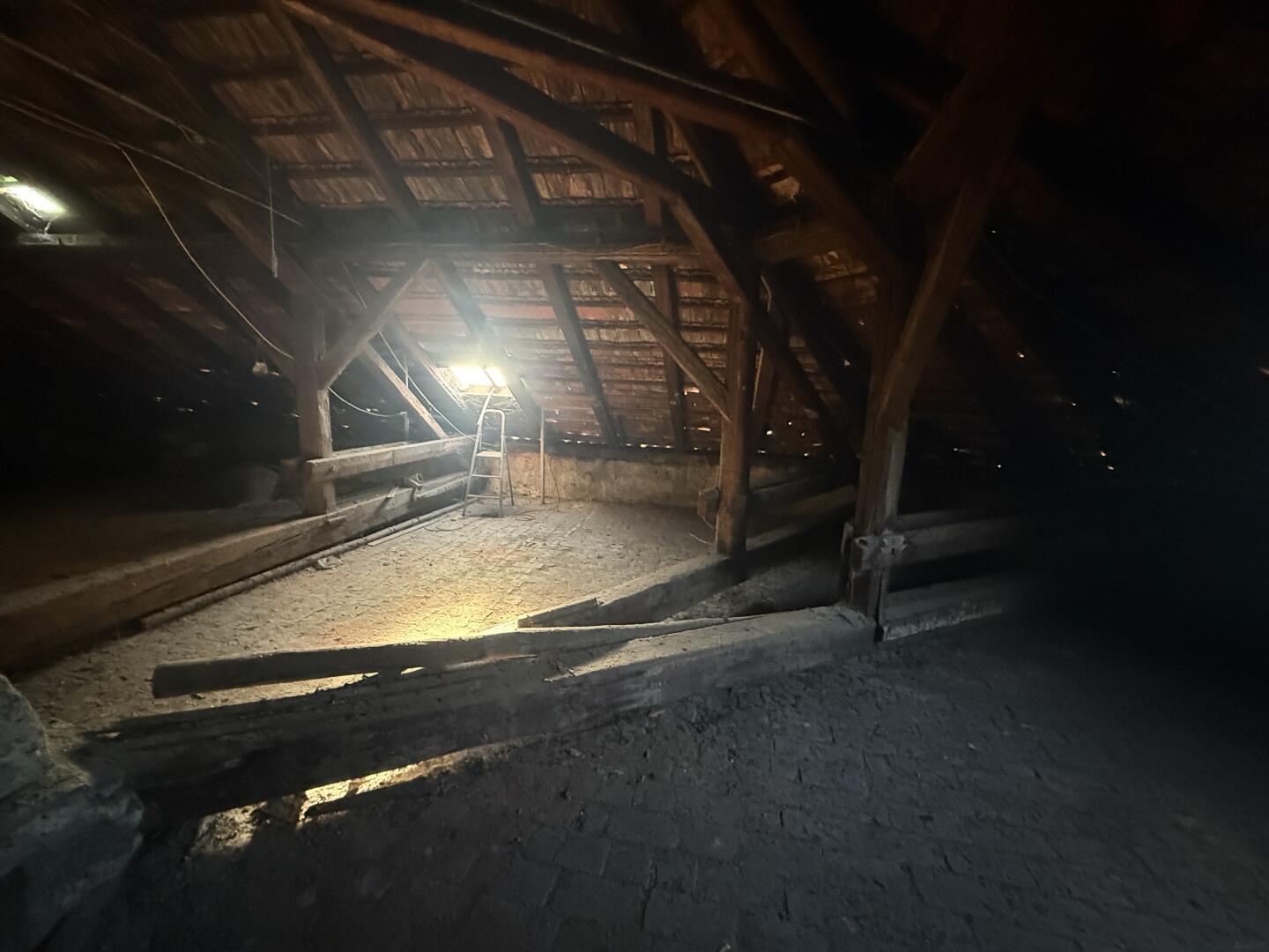 20251105_083309850_iOS