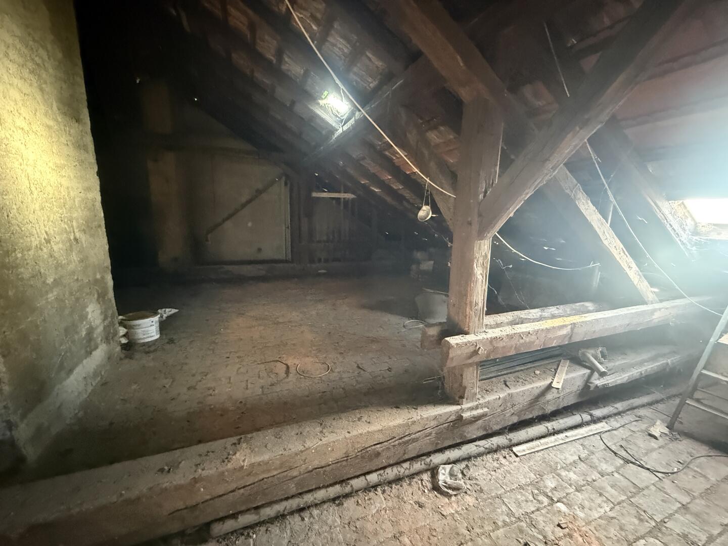 20251105_083315369_iOS