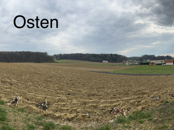 20260324_135602396_iOS1775572704