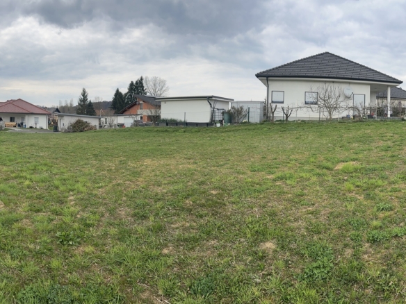 20260324_140226139_iOS1775572706