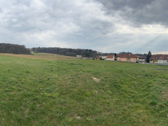 20260324_140323568_iOS1775572707