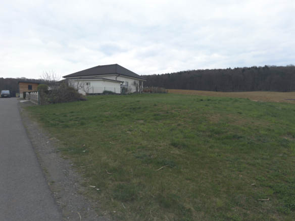 20260324_140439636_iOS1775572713