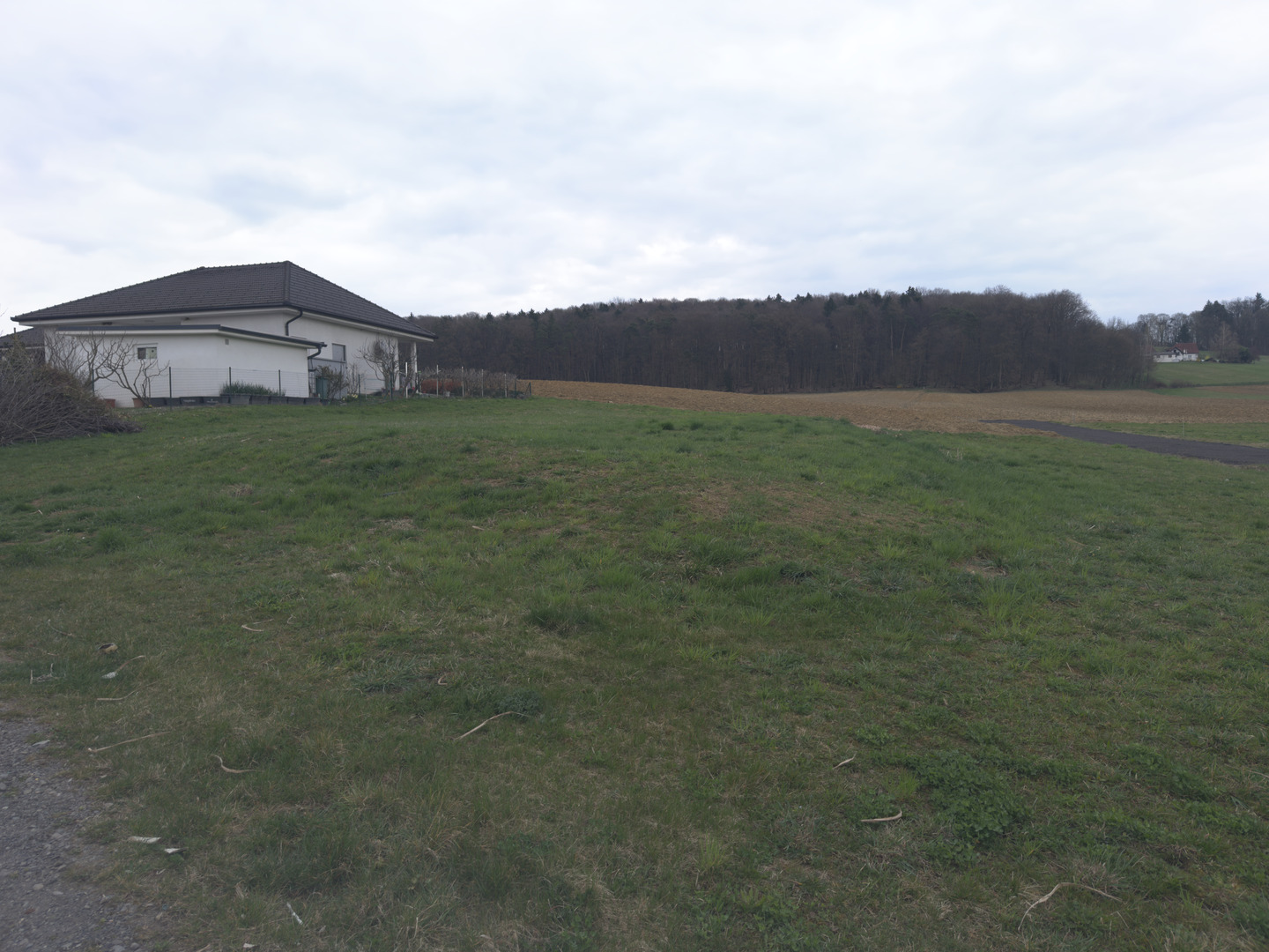 20260324_140442889_iOS1775572718